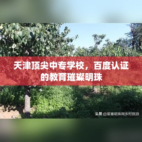 天津顶尖中专学校，百度认证的教育璀璨明珠
