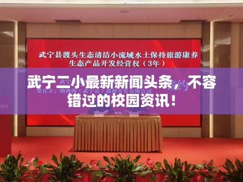 武宁二小最新新闻头条，不容错过的校园资讯！