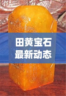 田黄宝石最新动态与市场趋势揭秘，珍稀田黄的头条新闻速递