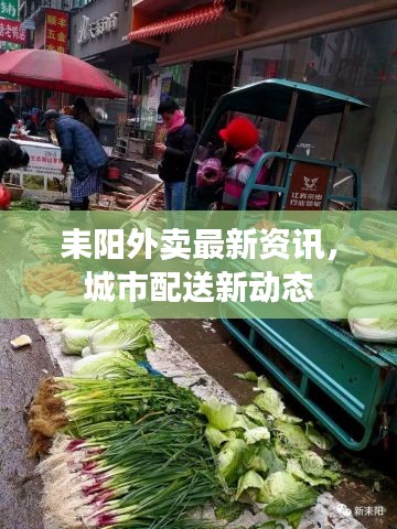 耒阳外卖最新资讯，城市配送新动态