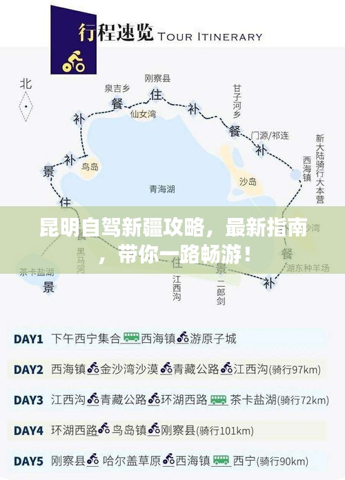 轻徙鸟举