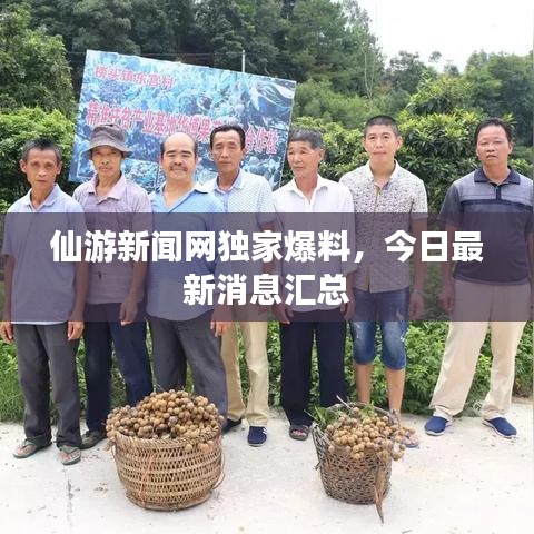 仙游新闻网独家爆料，今日最新消息汇总