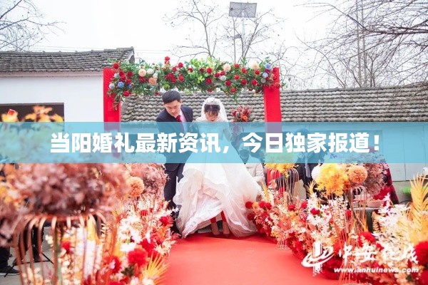 当阳婚礼最新资讯，今日独家报道！