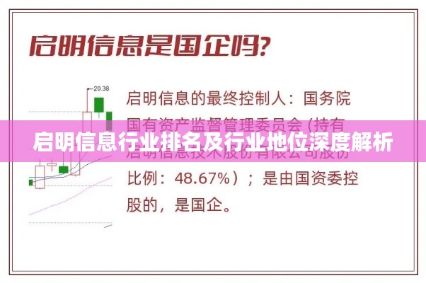 启明信息行业排名及行业地位深度解析