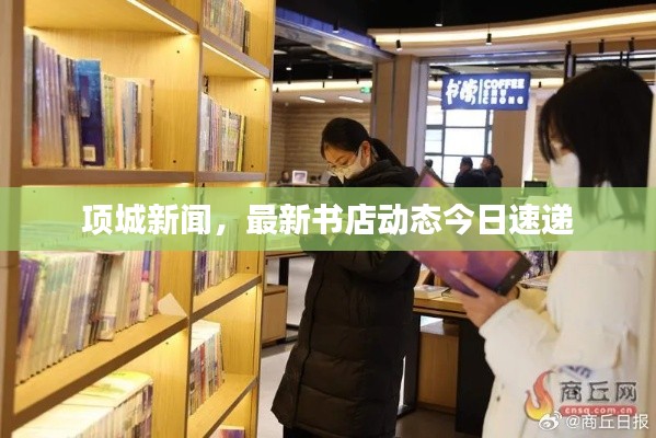 项城新闻，最新书店动态今日速递
