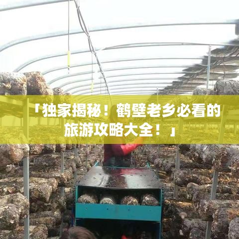 「独家揭秘！鹤壁老乡必看的旅游攻略大全！」