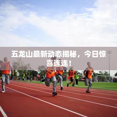 五龙山最新动态揭秘，今日惊喜连连！