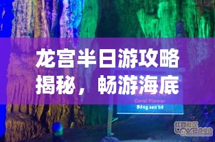 龙宫半日游攻略揭秘，畅游海底仙境！