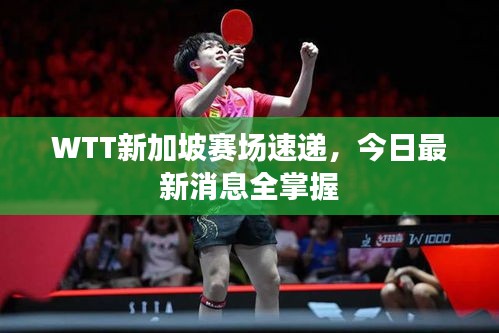 WTT新加坡赛场速递，今日最新消息全掌握
