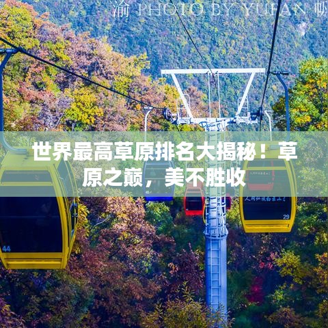 世界最高草原排名大揭秘！草原之巅，美不胜收