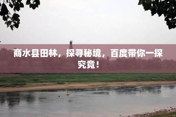 商水县田林，探寻秘境，百度带你一探究竟！