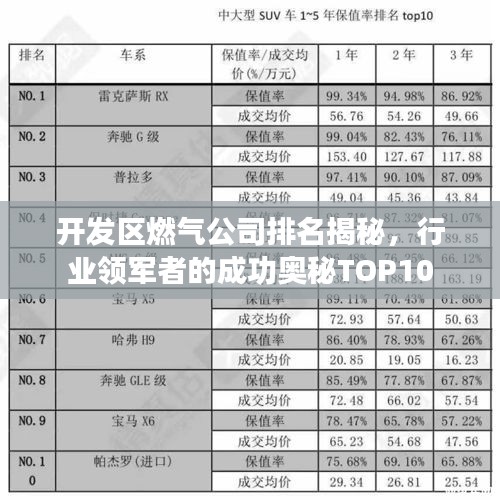 开发区燃气公司排名揭秘，行业领军者的成功奥秘TOP10