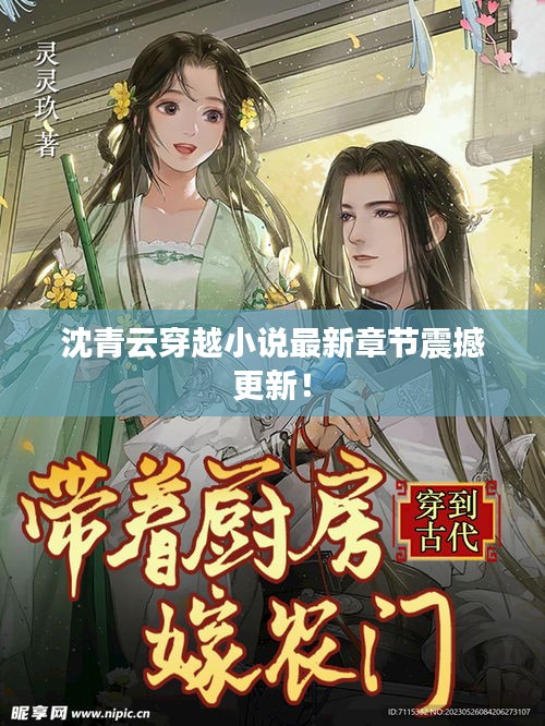沈青云穿越小说最新章节震撼更新！