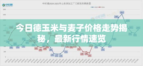 今日德玉米与麦子价格走势揭秘，最新行情速览