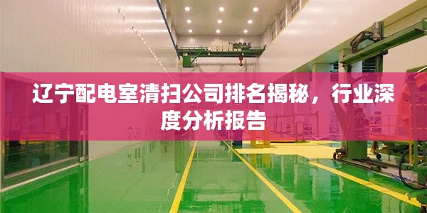 辽宁配电室清扫公司排名揭秘，行业深度分析报告