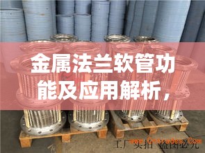 金属法兰软管功能及应用解析，百度一下，全面了解！