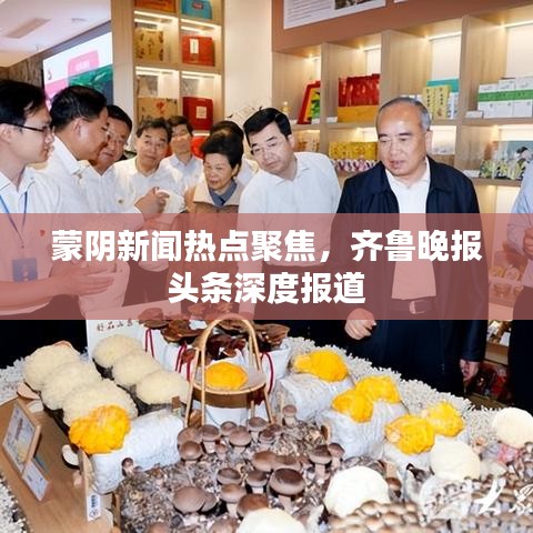蒙阴新闻热点聚焦，齐鲁晚报头条深度报道