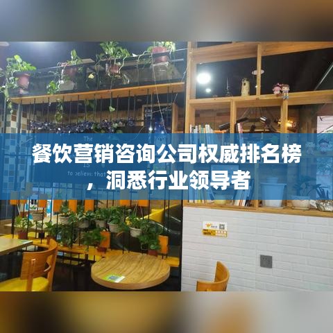 餐饮营销咨询公司权威排名榜，洞悉行业领导者