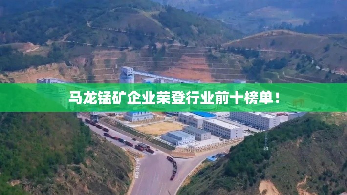 马龙锰矿企业荣登行业前十榜单！