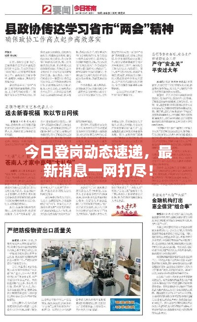 今日登岗动态速递，最新消息一网打尽！