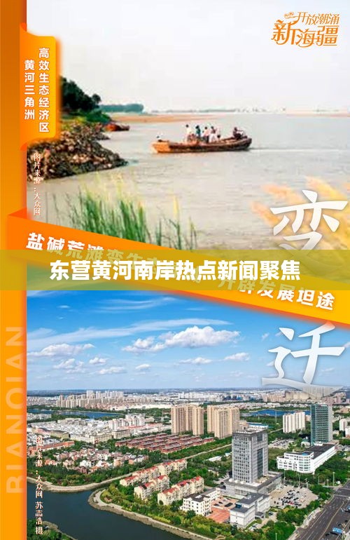 东营黄河南岸热点新闻聚焦