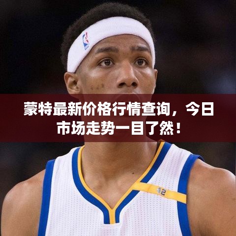 蒙特最新价格行情查询，今日市场走势一目了然！
