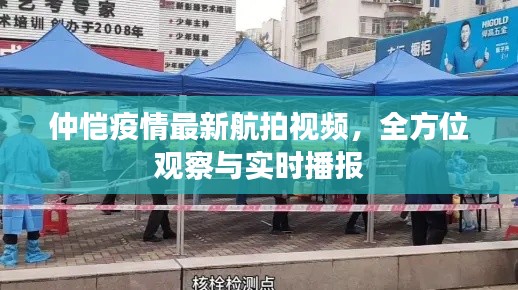 仲恺疫情最新航拍视频，全方位观察与实时播报