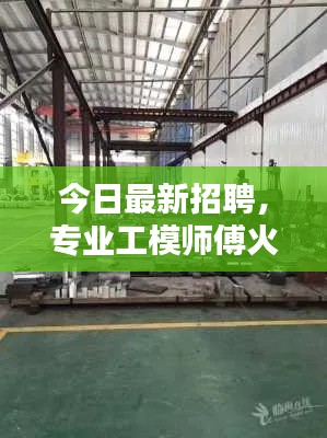 今日最新招聘，专业工模师傅火热招募中