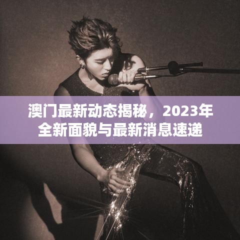 澳门最新动态揭秘，2023年全新面貌与最新消息速递