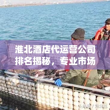 淮北酒店代运营公司排名揭秘，专业市场分析助你洞悉行业趋势