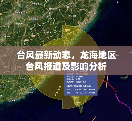 台风最新动态，龙海地区台风报道及影响分析