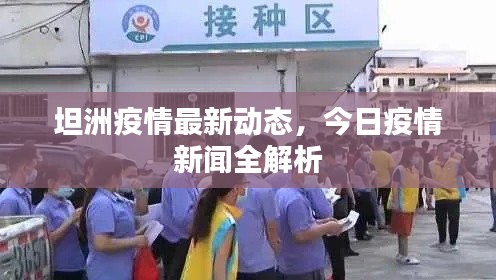 坦洲疫情最新动态，今日疫情新闻全解析