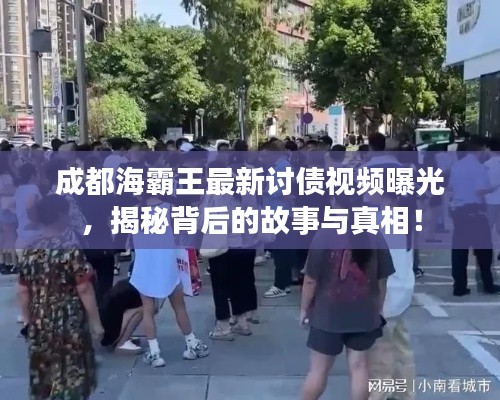 成都海霸王最新讨债视频曝光，揭秘背后的故事与真相！