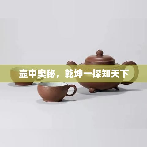 壶中奥秘，乾坤一探知天下