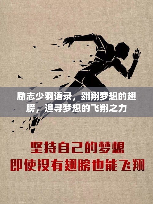 励志少羽语录，翱翔梦想的翅膀，追寻梦想的飞翔之力