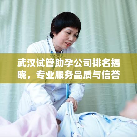 武汉试管助孕公司排名揭晓，专业服务品质与信誉并存