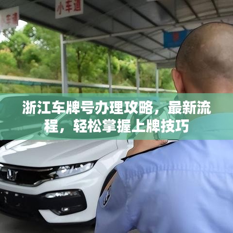 浙江车牌号办理攻略，最新流程，轻松掌握上牌技巧