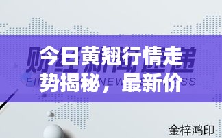 今日黄翘行情走势揭秘，最新价格与市场动态深度解读