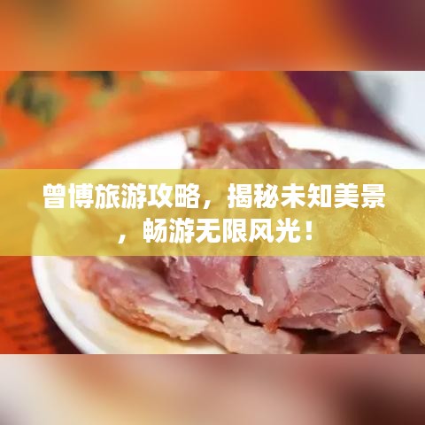 曾博旅游攻略，揭秘未知美景，畅游无限风光！