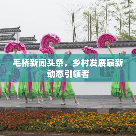 毛桥新闻头条，乡村发展最新动态引领者