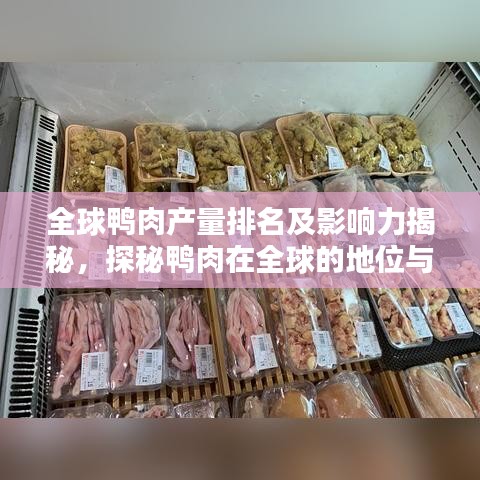 全球鸭肉产量排名及影响力揭秘，探秘鸭肉在全球的地位与趋势