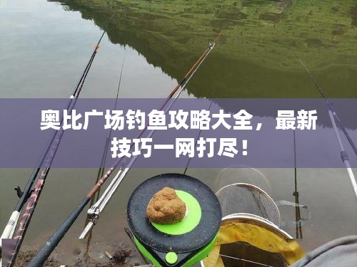 奥比广场钓鱼攻略大全，最新技巧一网打尽！