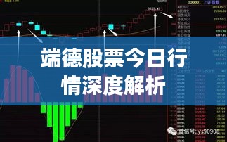端德股票今日行情深度解析
