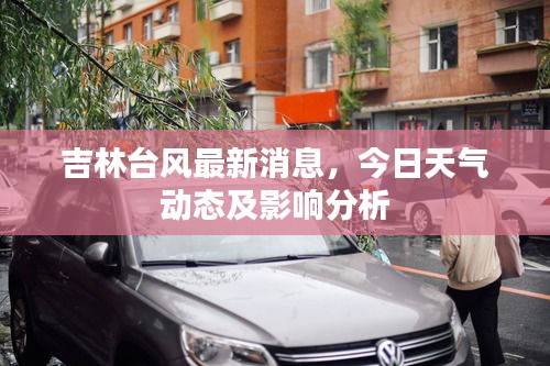 吉林台风最新消息，今日天气动态及影响分析