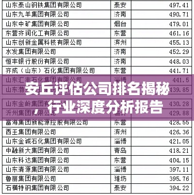 安丘评估公司排名揭秘，行业深度分析报告