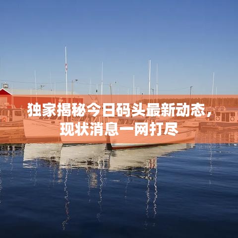 熊经鸟申