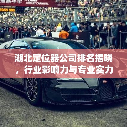 湖北定位器公司排名揭晓，行业影响力与专业实力一览