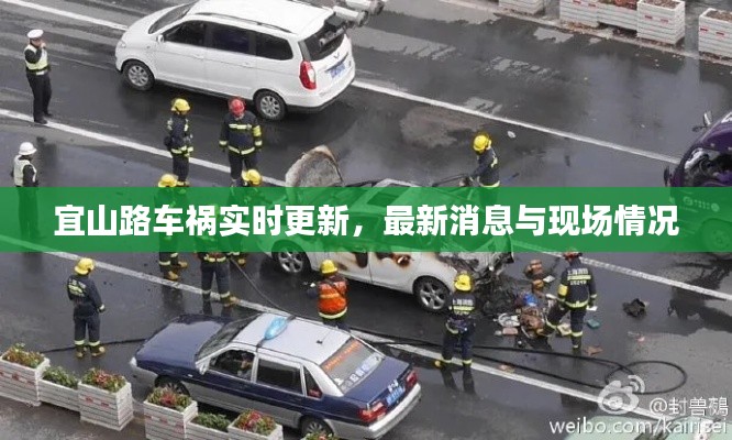 宜山路车祸实时更新，最新消息与现场情况