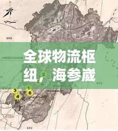全球物流枢纽，海参崴港吞吐量排名世界前列，地位举足轻重