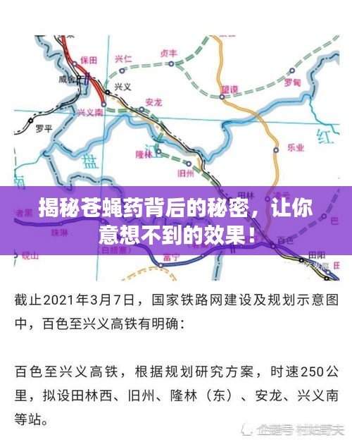 揭秘苍蝇药背后的秘密，让你意想不到的效果！